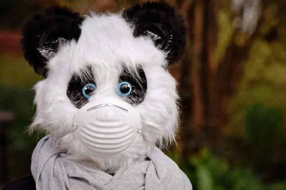 Rollers Casino Ënnerstëtzung